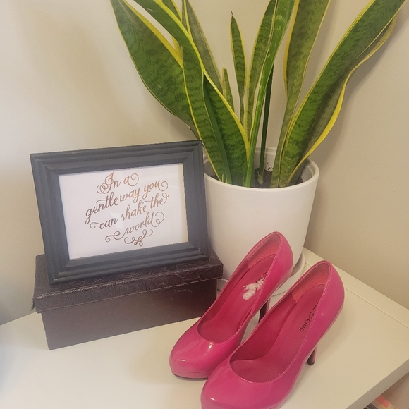 pumps - Picture 1 of 3